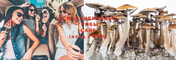 гидропоника Надым
